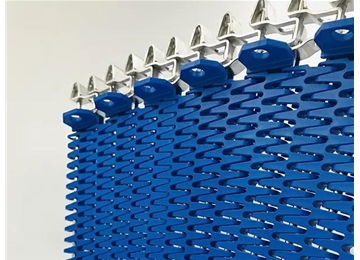 側齒輪傳動網帶